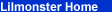 Welcome to Lilmonster.com Computer and Internet Services